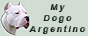 Аргентинский Дог и Бивер / Dogo Argentino & Biewer